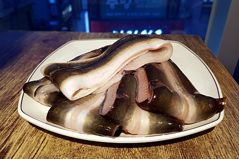 비장한장어 이미지