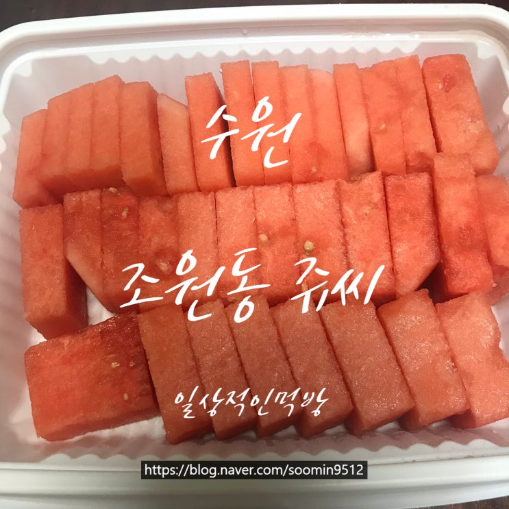 수원 북수원점쥬씨에서 구매한 수박도시락