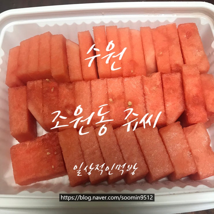  수원 북수원점쥬씨에서 구매한 수박도시락