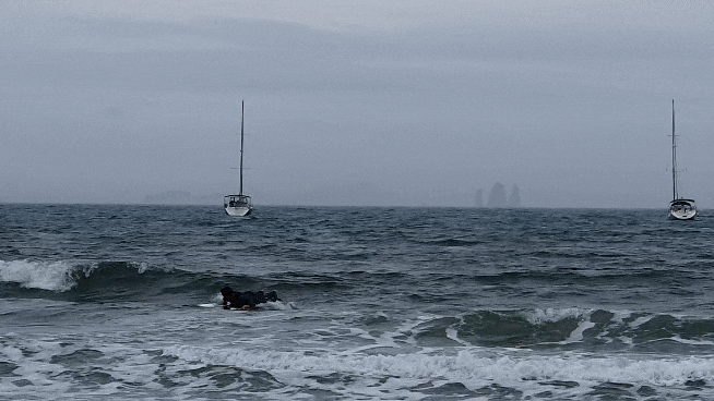 2019년 7월 굴업도 해변 패들 서핑 (2) - 국내섬 요트투어/여행