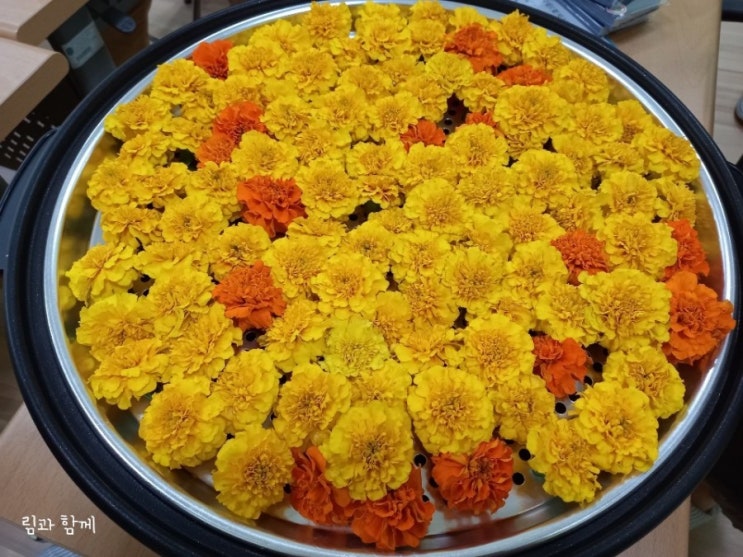  수원도시락 림과 함께 꽃차 교육을 받았어요 