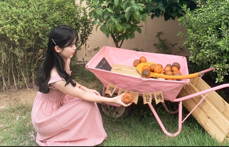  2020년 7월 29일 ~ 8월 6일 붕붕이 일상