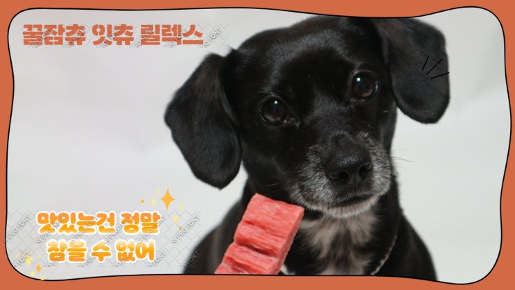 핏펫 꿀잠츄 잇츄 릴렉스. 심신 안정까지 신경쓴 강아지껌 핏펫 꿀잠츄 잇츄 릴렉스. 심신 안정까지 신경쓴 강아지껌