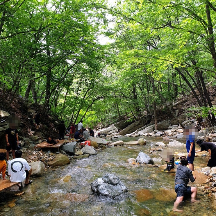  [청도선녀계곡] 청도 계곡 평상 대여해서 물놀이 하기