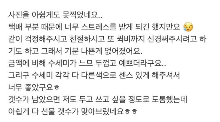  민트홀릭 후기 