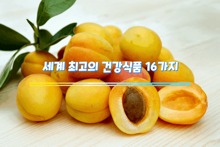세계 최고의 건강식품 16가지 세계 최고의 건강식품 16가지