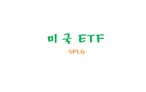 [미국ETF] S&P500 지수 추종 ETF SPLG ETF