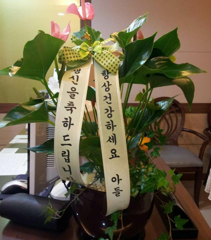  공감과 댓글은 사랑의 또 다른 표현일가요?