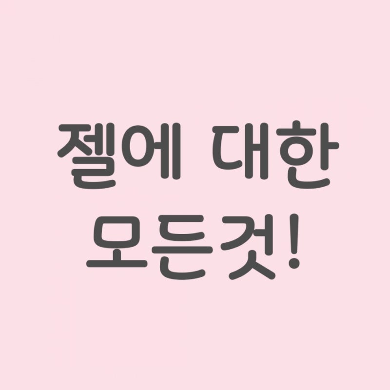 ❣️러브젤 사용법/장점/고르는 법/내돈내산 추천템 : 네이버 블로그 ❣️러브젤 사용법/장점/고르는 법/내돈내산 추천템 : 네이버 블로그
