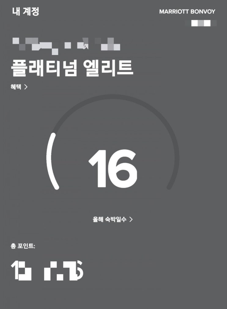  메리어트 플래티넘 엘리트