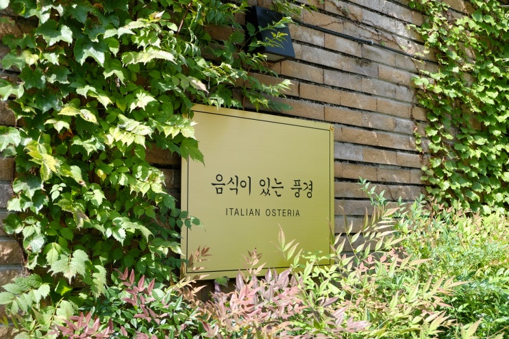  [대전 신성동 맛집] 음식이 있는 풍경 기념일 코스요리 후기!