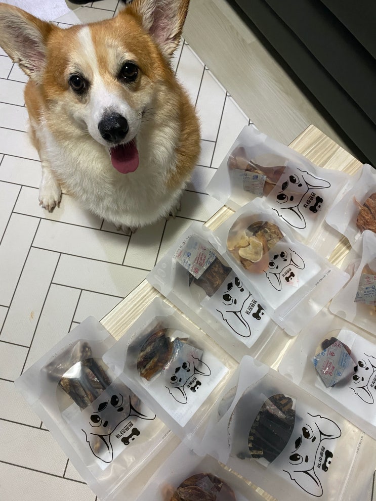 든든하개 대형견간식으로 강아지 건강 챙기세요 든든하개 대형견간식으로 강아지 건강 챙기세요