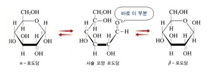 탄수화물에 대하여 (1) - 단당류