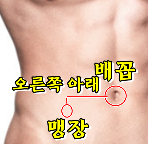 맹장위치(맥버니점) 남자, 여자 다르다?