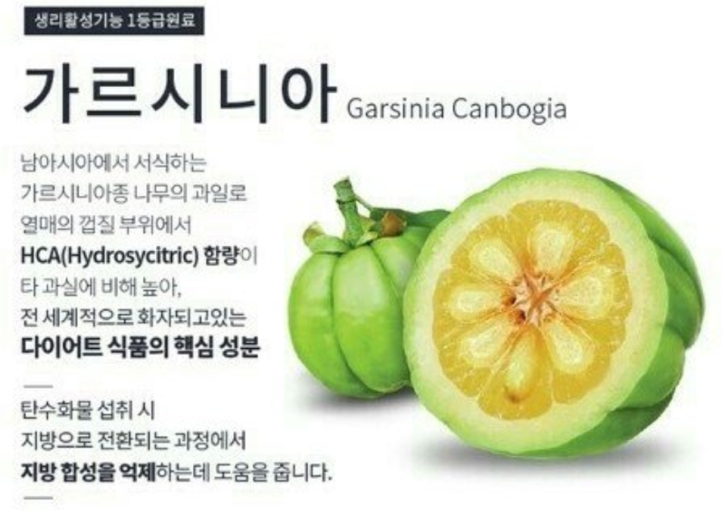 가르시아 캄보디아 추출물 함유 포뉴내체 애착 다이어트 보조제