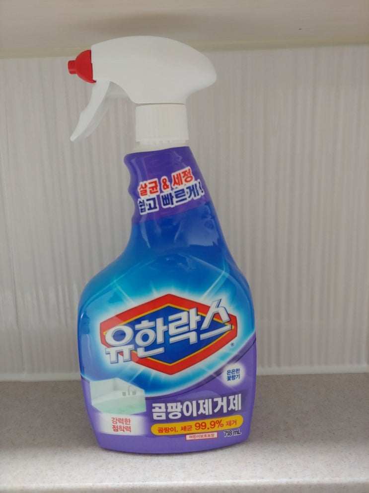 유한락스 곰팡이제거제 사용후기 / 화장실 타일 곰팡이 제거 (내돈내산)