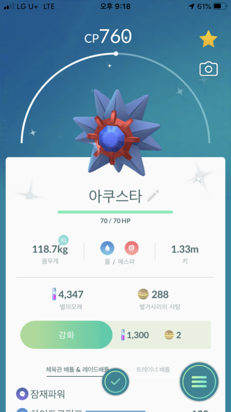  별가사리, 아쿠스타 이로치