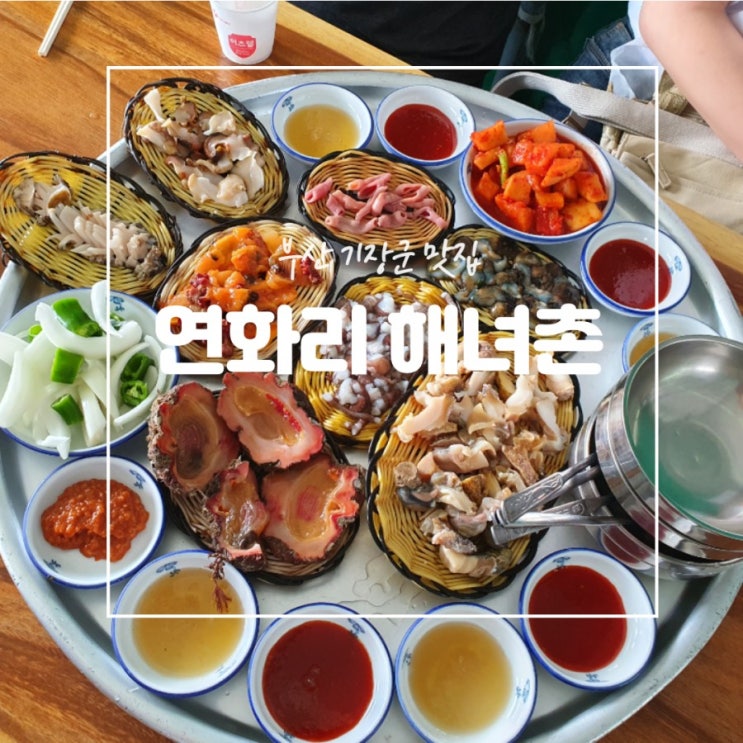  부산 기장군] 연화리 해녀촌 / 해산물 모둠, 전복죽