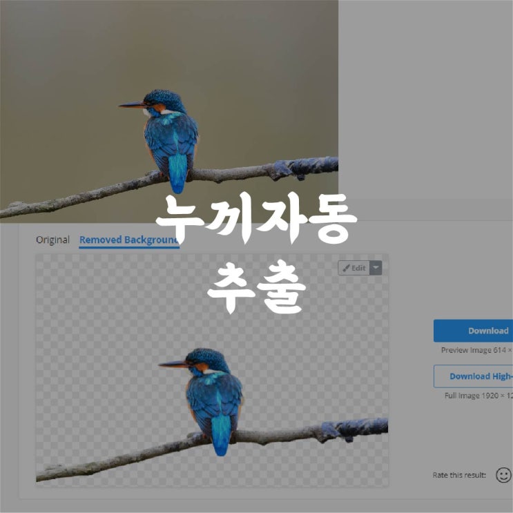  누끼따기 사이트, 포토샵없이 5초면 OK