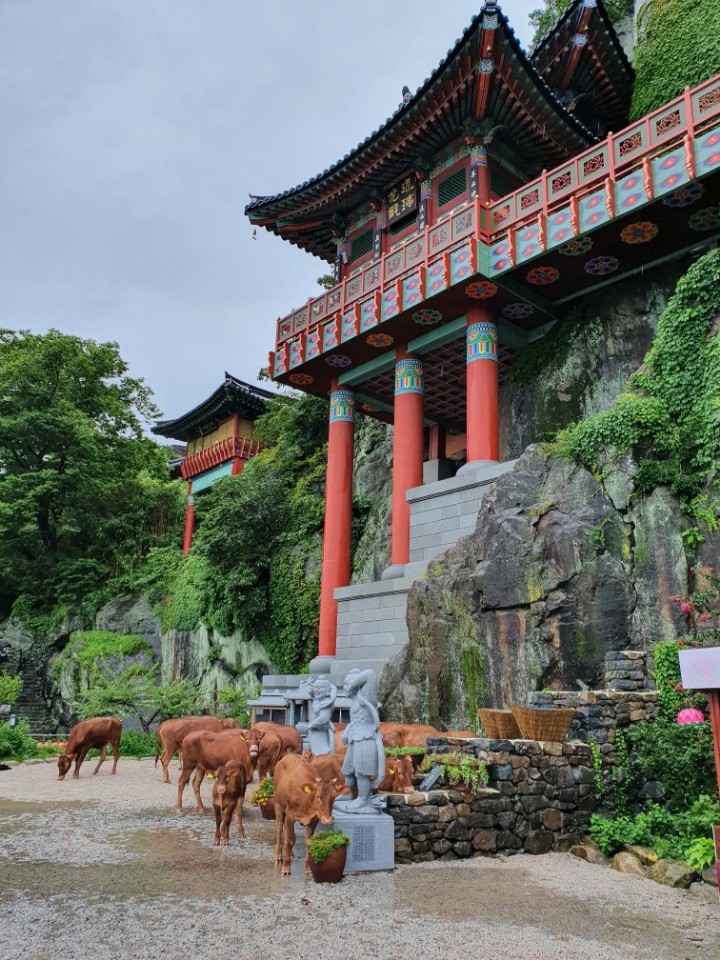  구례 홍수 상황 2