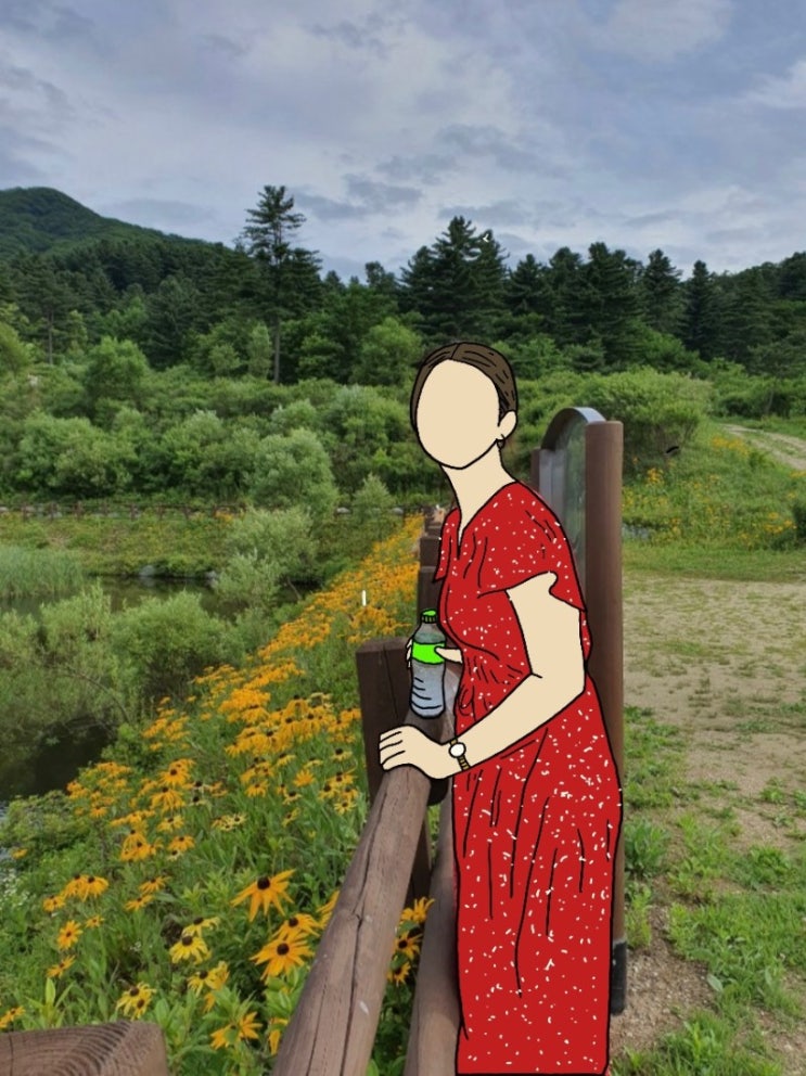  [경기 가평] 먹고!먹고!먹는 가평여행 (feat. 나무아래오후, 잣향기푸른숲, 북한강막국수닭갈비)