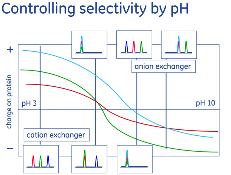 Ion Exchange Chromatography : 네이버 블로그