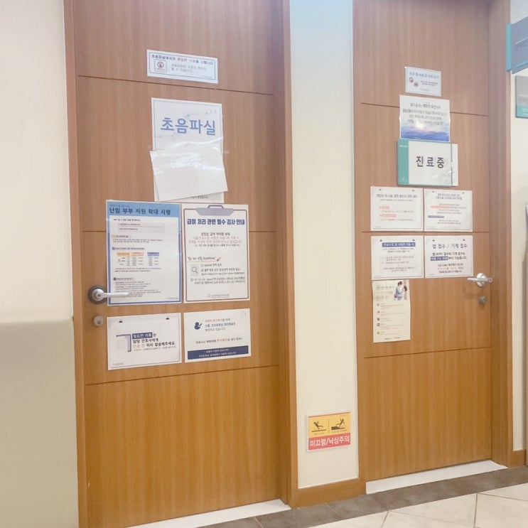  분당여성제일병원 난소기능저하증 난포터지는 주사 맞음(증상,비용)