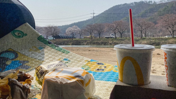  천안, 북면 벚꽃길. :)