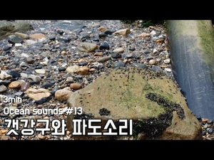 Ocean sounds #13. 바다의 청소부 갯강구와 파도소리 | 수면, 휴식, 공부, 명상 | 3분 Ocean sounds #13. 바다의 청소부 갯강구와 파도소리 | 수면, 휴식, 공부, 명상 | 3분