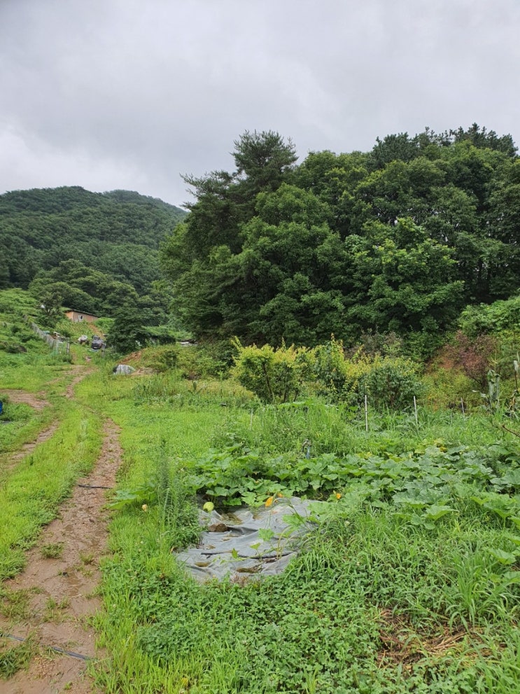  양주 송천 캠핑장