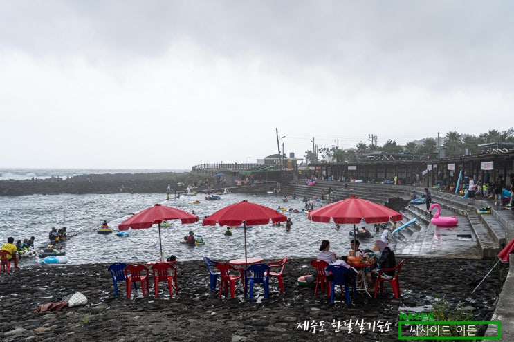  아이만 좋다고? 나도 좋았어! "논짓물" [제주도 한달살기 숙소 씨사이드 이든 추천]