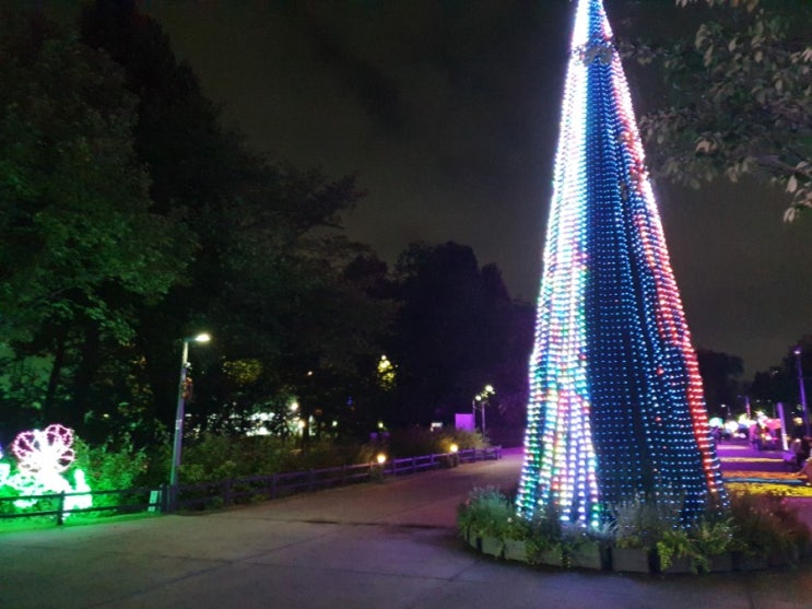 노원 화랑대역 경춘선 숲길 빛축제 서울 야경이 예쁜곳