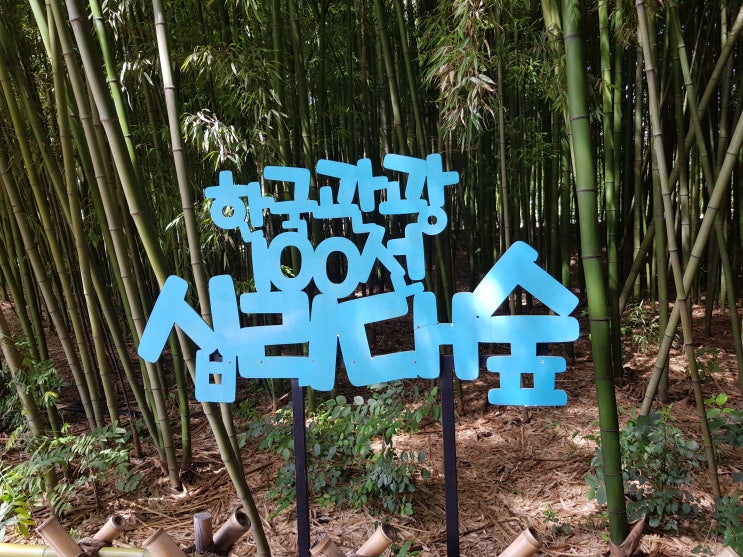  (울산 십리대숲) 3세, 6세 유아 남자아이와 함께 둘러보기