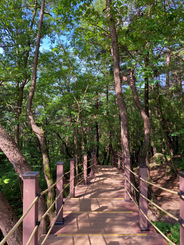 강원도 영월 여행, 한반도지형과 선돌 #영월가볼만한곳