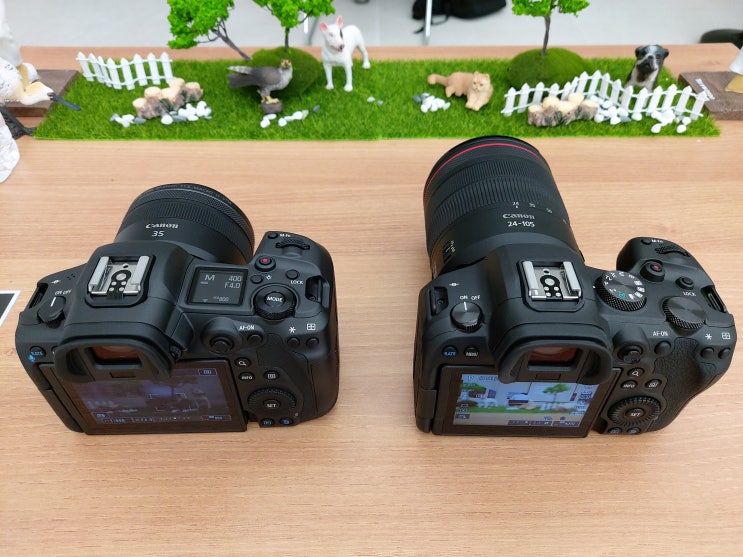  [캐논 EOS R5ㆍEOS R6 체험 이벤트] 현장 스케치