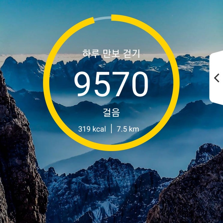  건강프로젝트] 71일차 6000보 이상 걷기 성공