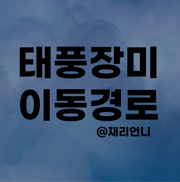 2020년 5호태풍 장미 이동경로 2020년 5호태풍 장미 이동경로