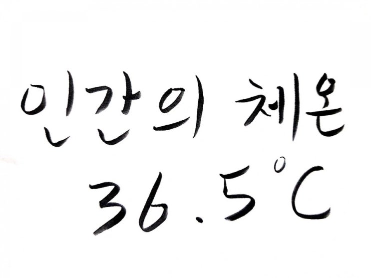  [에세이]인간을 상징하는 숫자