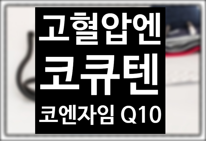  '콩코르정 2.5mg' 대체 영양제