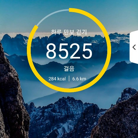  [건강프로젝트] 70일차 6000보 이상 걷기 성공