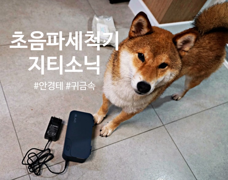 초음파세척기 지티소닉 안경테 미세세척 소독 후기