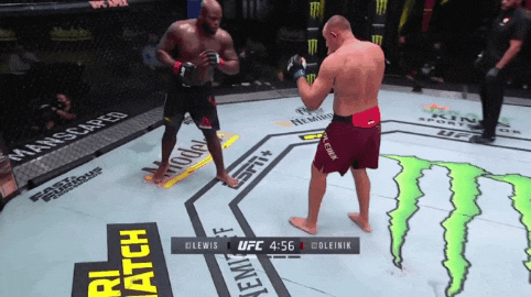 UFC 베가스 6: 루이스 vs 올레이닉 피니쉬 영상(GIF) 및 뒷얘기