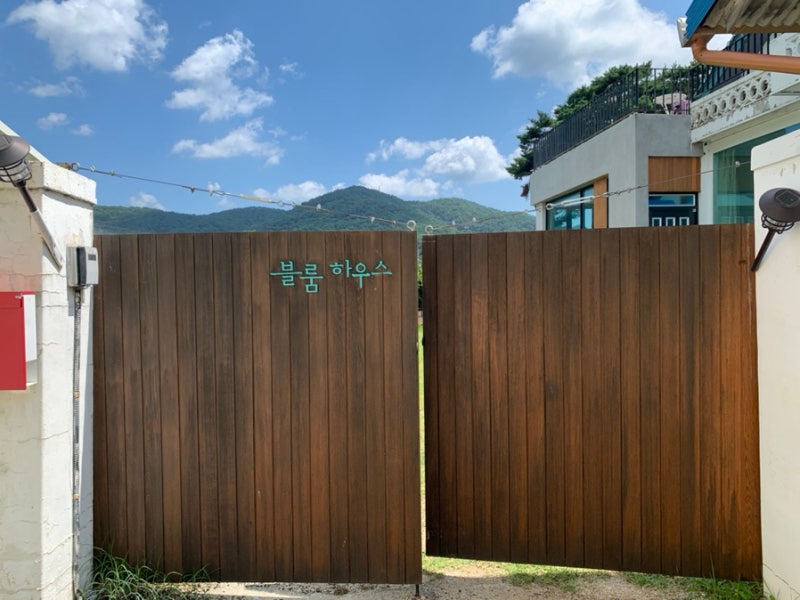 사진 2