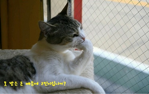  대구고려신용정보대구중앙지사/채권추심/개인간 대여금