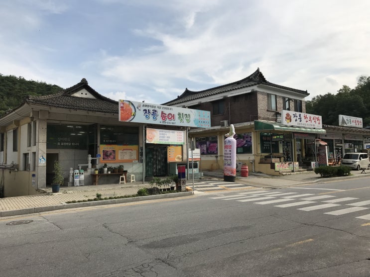 강원도 영월 송어회 맛집 회덮밥에 매운탕까지 배부른 하루