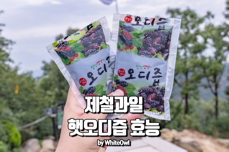  제철과일 오디즙 효능! 맛있게 먹는 방법~