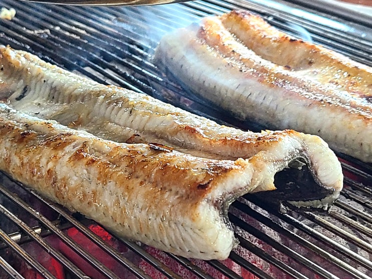  [대전 유성맛집] 신선하고 맛있는 장어 '대청장어가' 후기