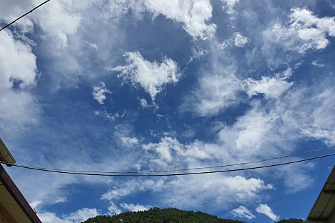 지리산 하늘농원 이미지