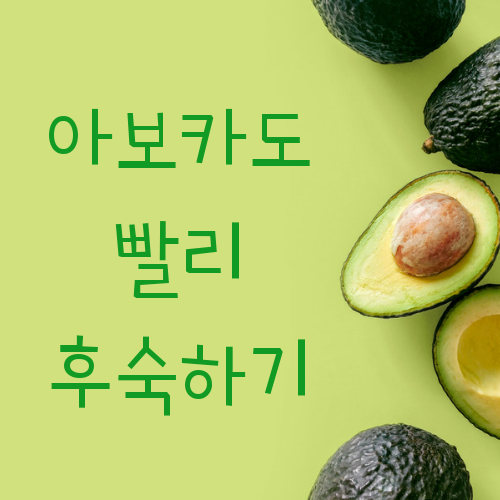  아보카도 빨리 익히기