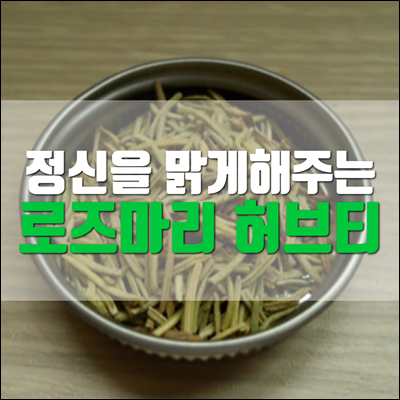 정신을 맑게 해주는 로즈마리 허브티 추천 정신을 맑게 해주는 로즈마리 허브티 추천